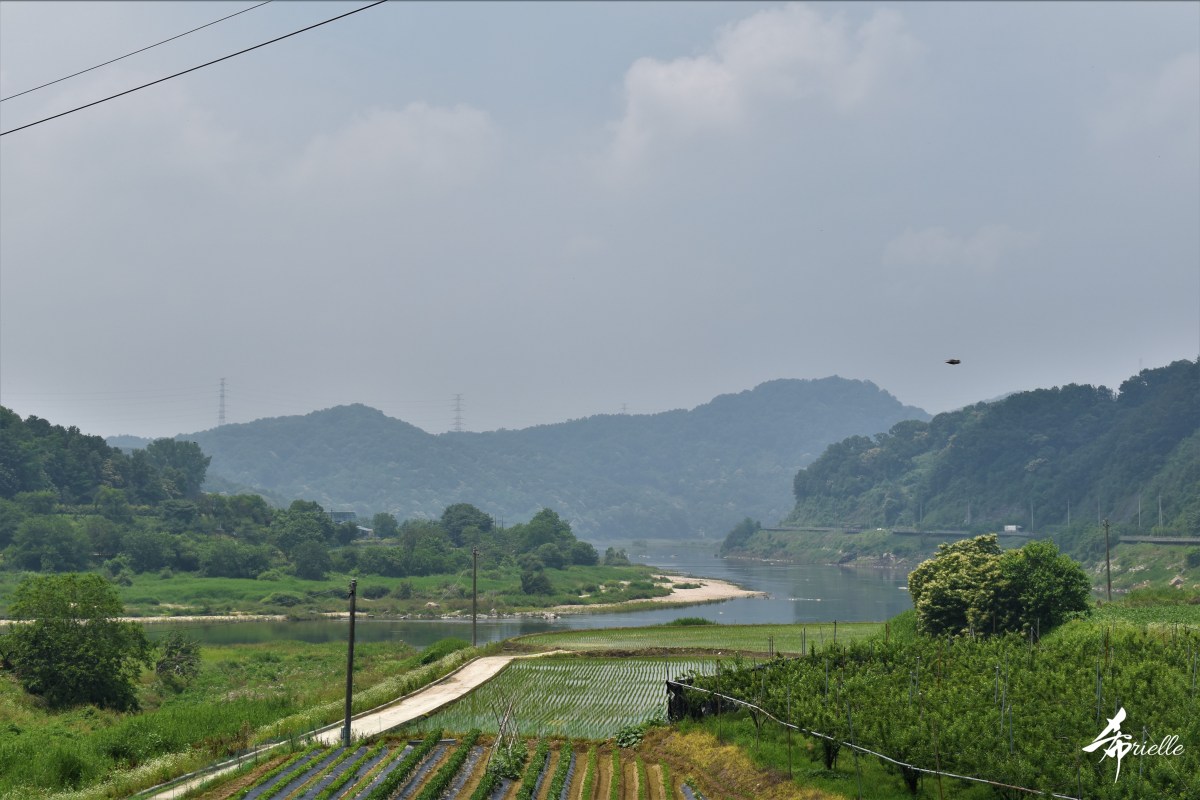 Rando-vélo le long du fleuve Geum, de Daejeon à Gunsan jours 1 et 2 금강 자전거길의 여행&nbsp;일기.