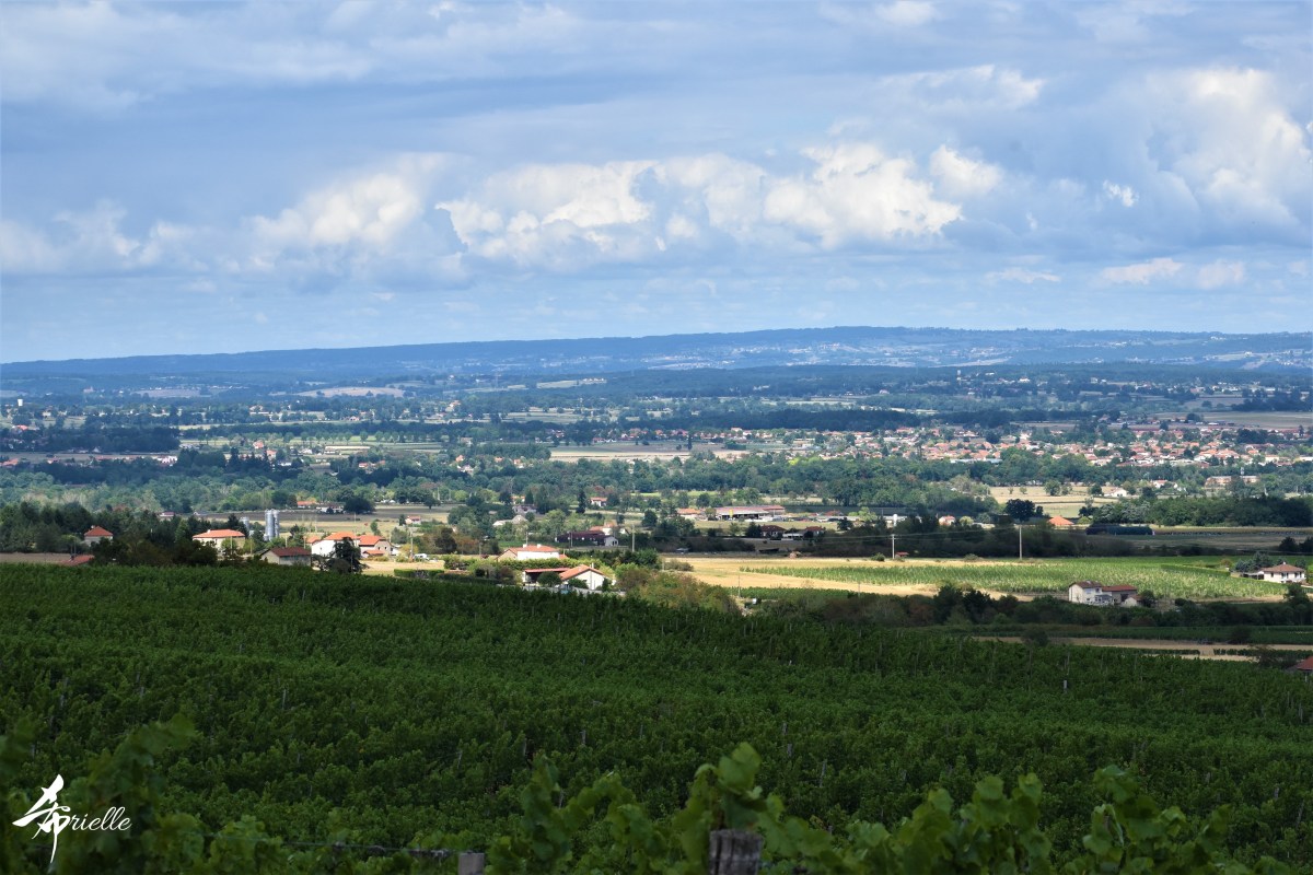 De la source à la&nbsp;colline