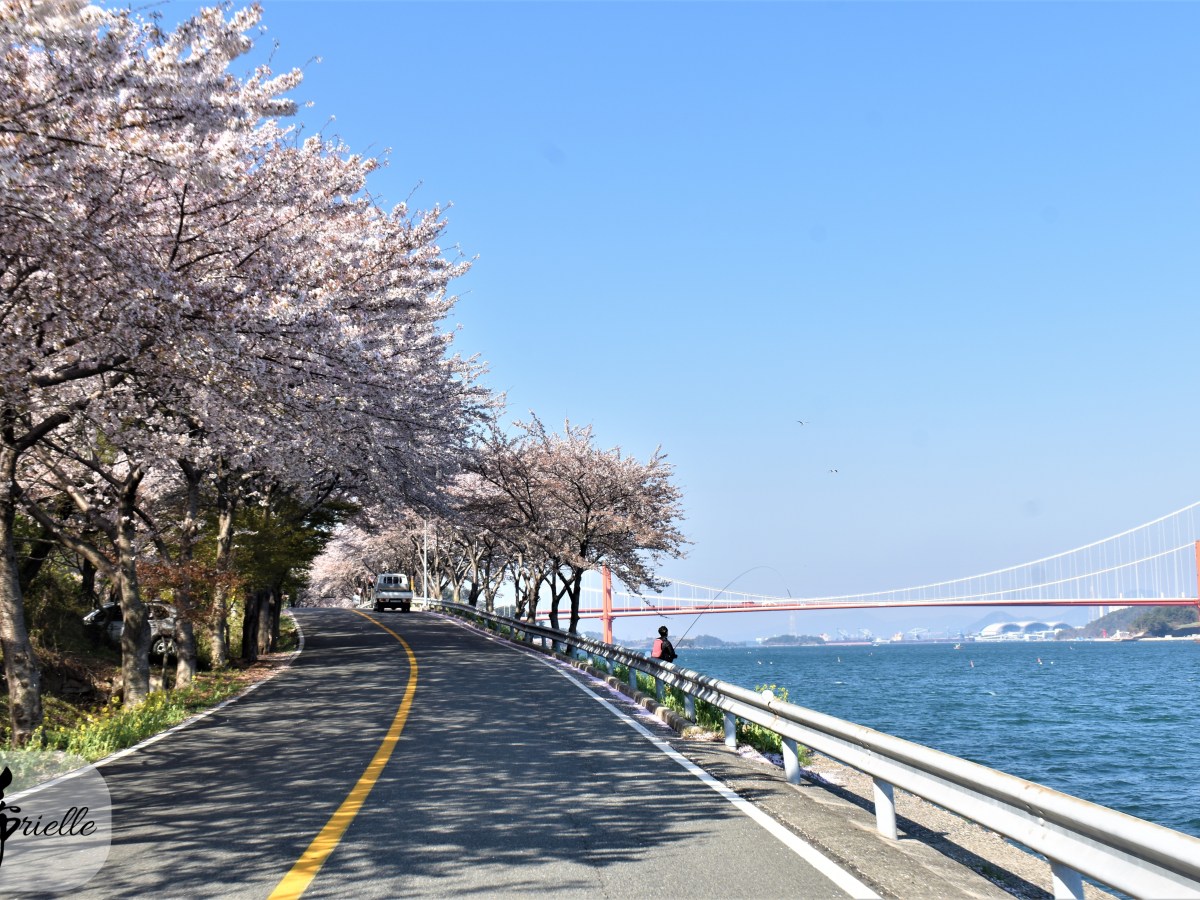 La mer – les cerisiers – un vélo et une amie ! – jour 2&nbsp;–