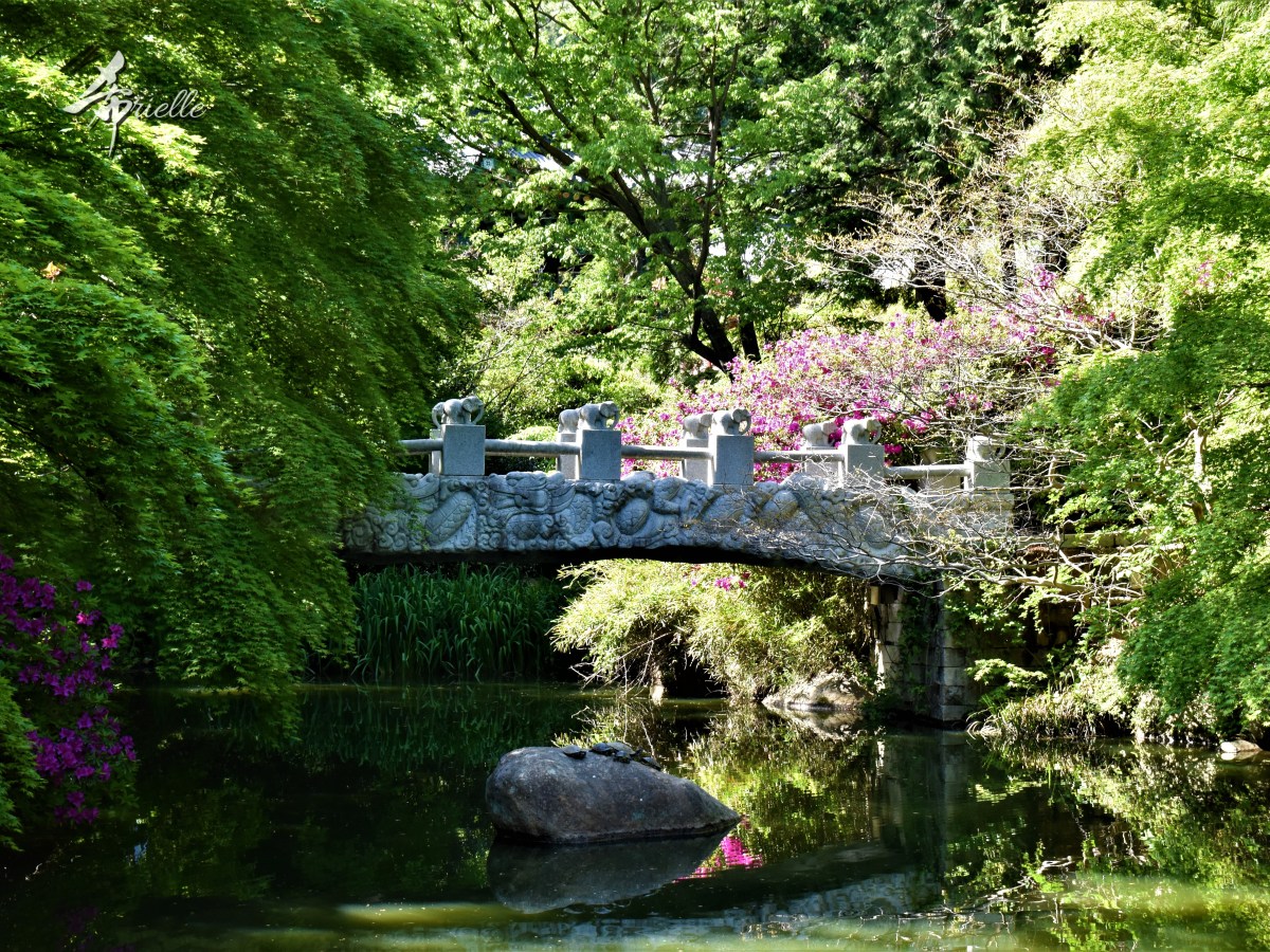 Le Mont Mireuk à Tongyeong&nbsp;(미륵산)